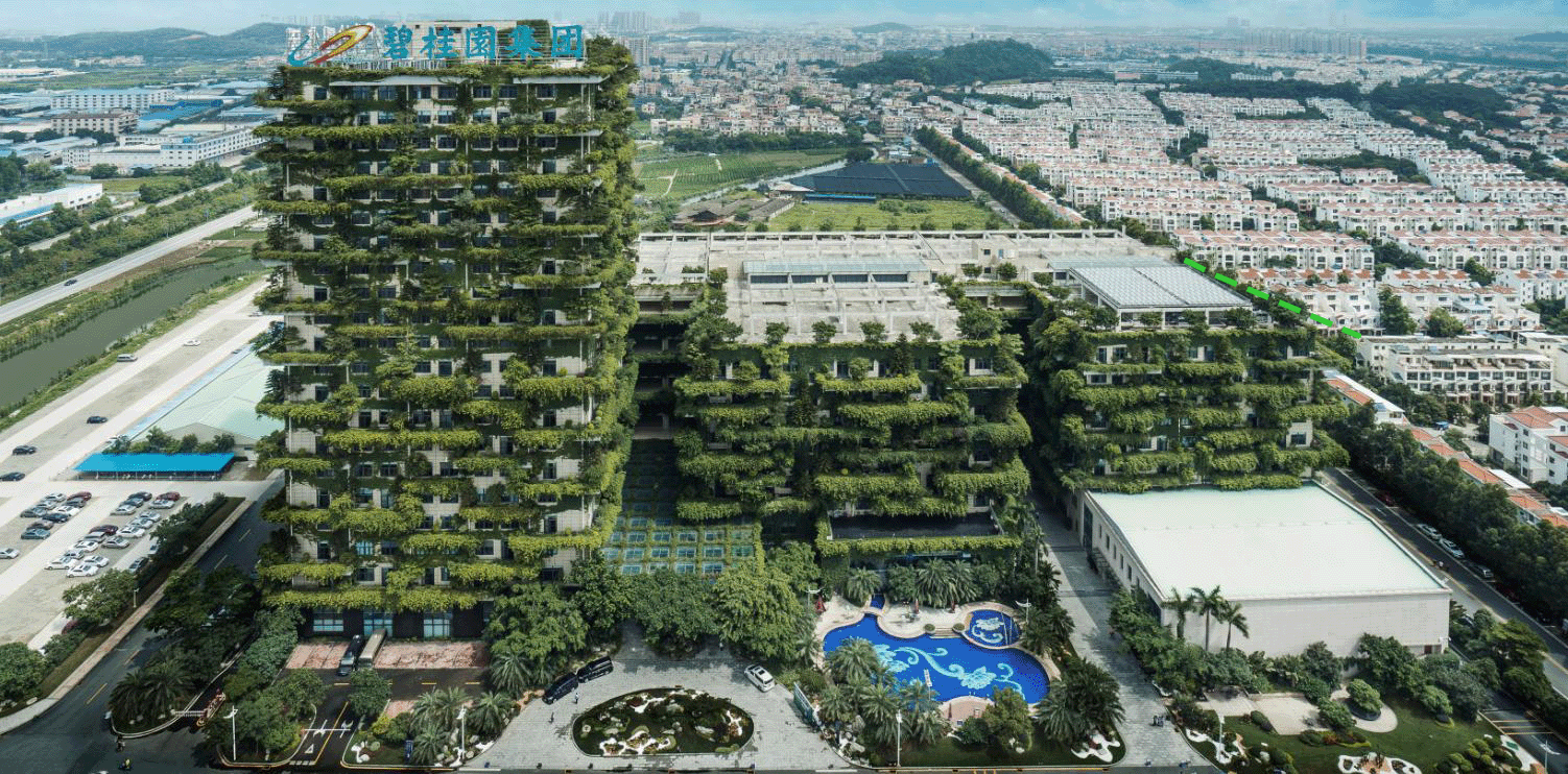 黄河师傅碧桂园集团总部大楼风水